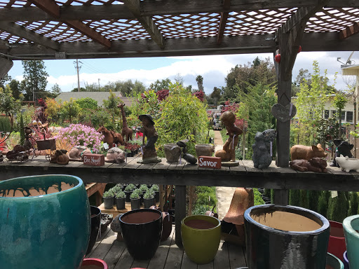 Florist «Cherry Lane Nursery», reviews and photos, 436 Traffic Way, Arroyo Grande, CA 93420, USA