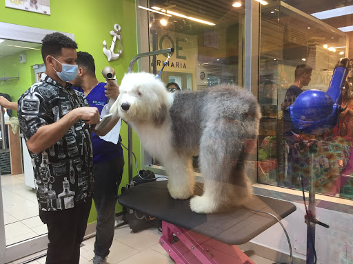 Dog groomers in Santo Domingo