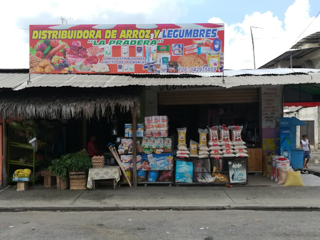 Comercial Tagua