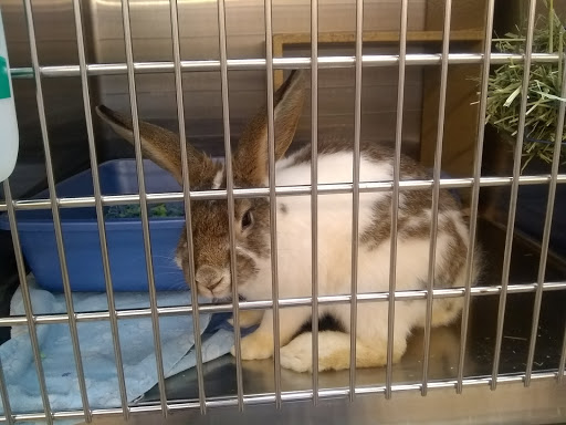 Pet Supply Store «PetSmart», reviews and photos, 10329 S State St, Sandy, UT 84070, USA