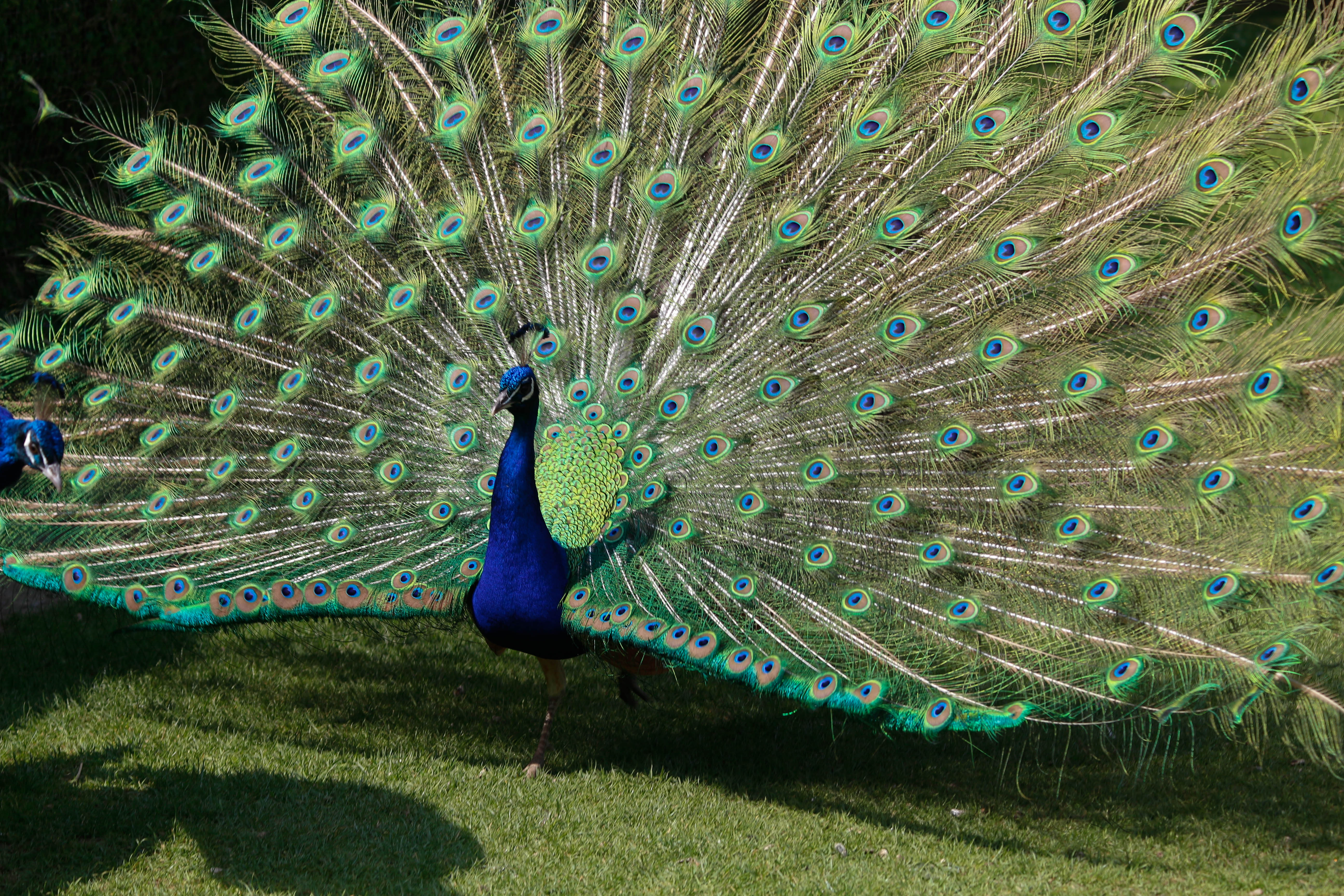 Photo n° 14 de l'avis de Laurent. fait le 05/08/2022 à 12:06