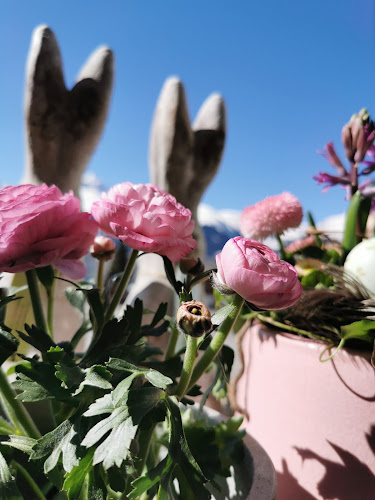 Rezensionen über Blumenzauber GmbH in Davos - Blumengeschäft