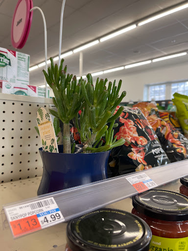 Drug Store «CVS», reviews and photos, 163 Mountain Rd, Suffield, CT 06078, USA