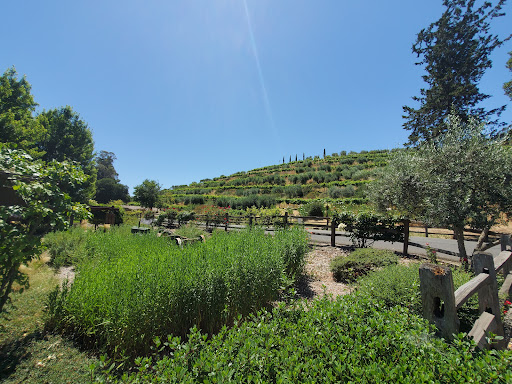 Winery «Benziger Family Winery», reviews and photos, 1883 London Ranch Rd, Glen Ellen, CA 95442, USA
