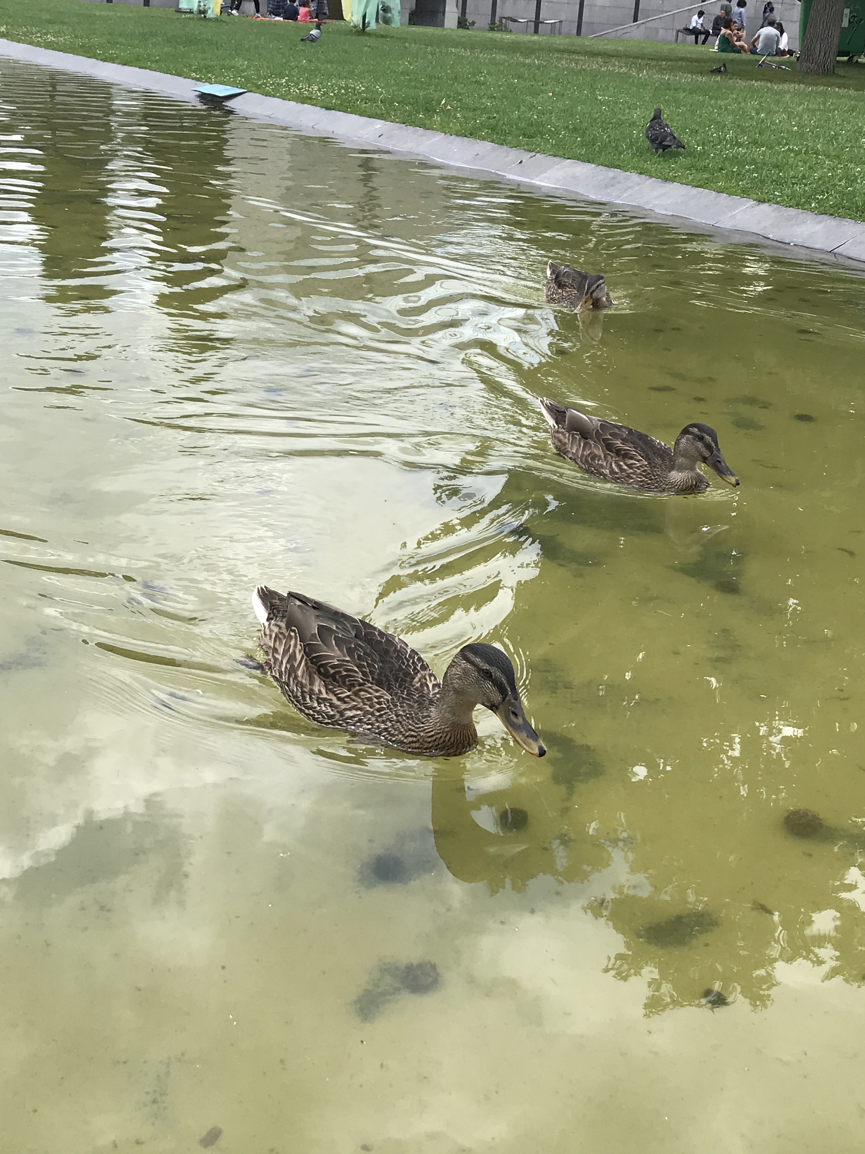 Photo n° 2 de l'avis de Reza.a fait le 05/08/2019 à 18:54