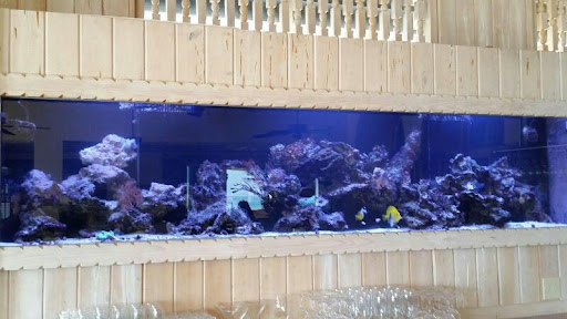 Pet Store «Tanks A Lot Aquariums», reviews and photos, 6680 Lantana Rd, Lake Worth, FL 33467, USA