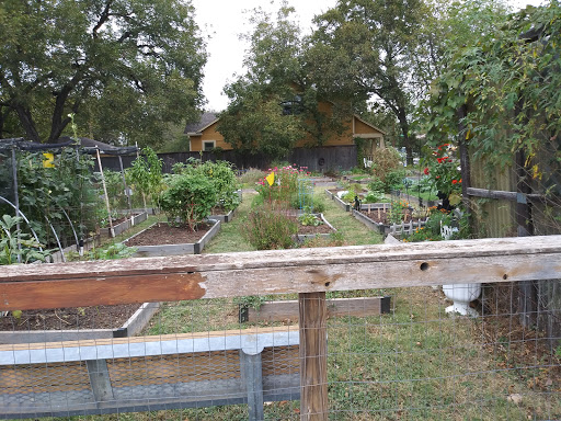 Fairmount Community Garden image 3