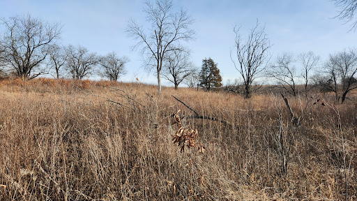 Jerry Smith Park – Trail Head