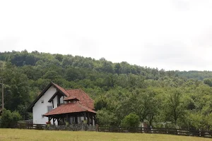 Seoski turizam “Villa Mira” Mačkat image
