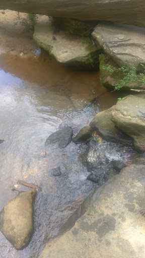 Park «Alexander Park», reviews and photos, 300 Atlanta St, McDonough, GA 30253, USA