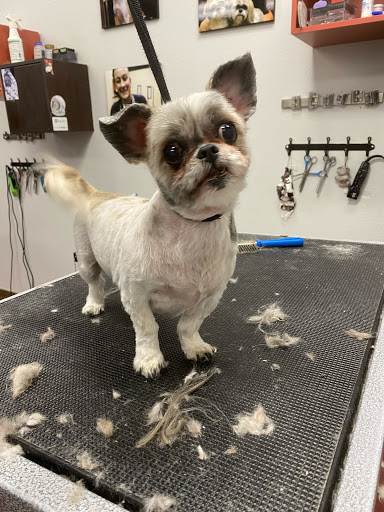 Pet Store «Healthy Pets Mountain West», reviews and photos, 2352 Fort Union Blvd, Cottonwood Heights, UT 84121, USA