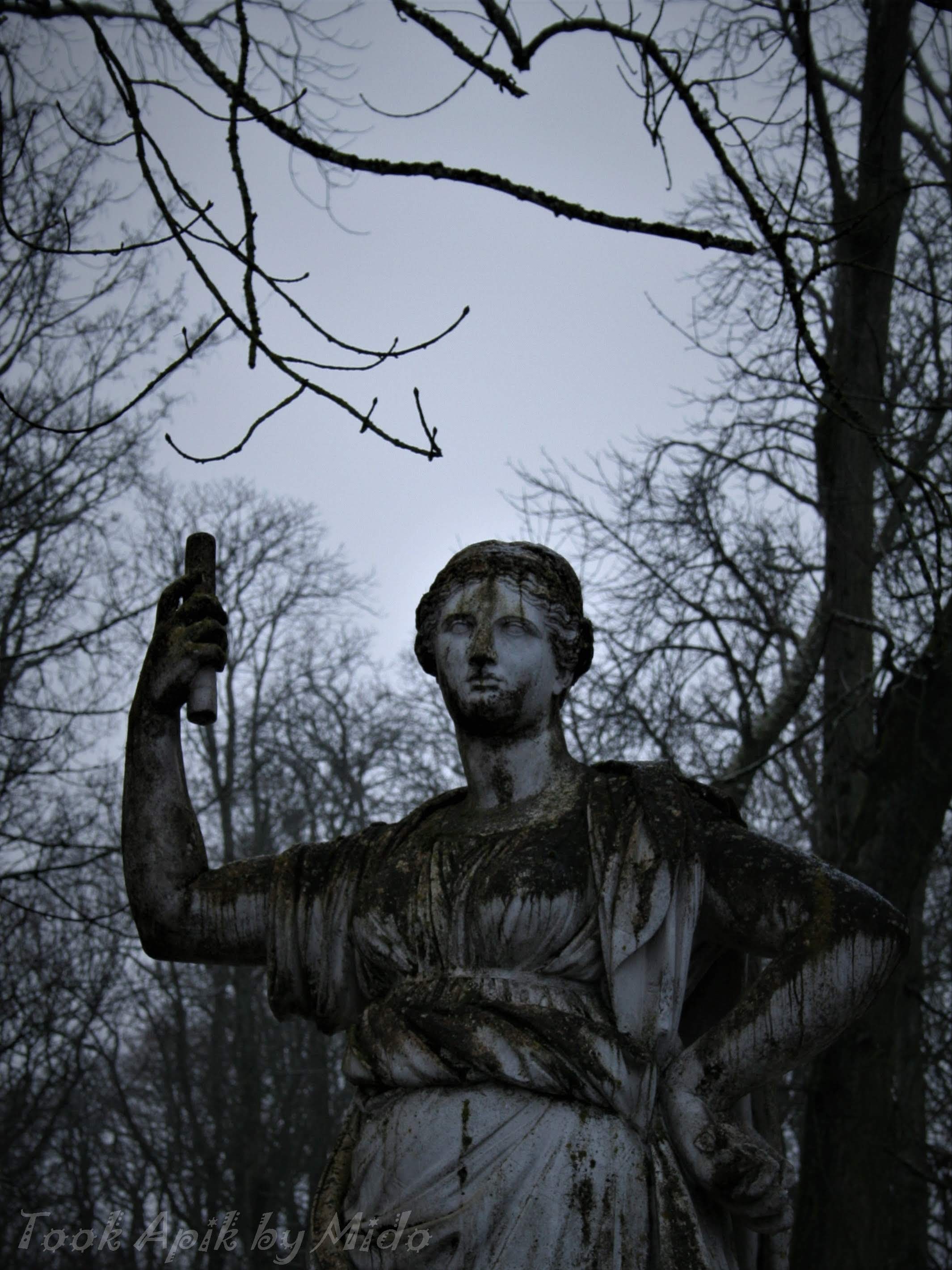 Photo n° 20 de l'avis de Mi.o fait le 26/06/2019 à 06:26