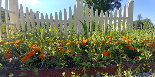 Museum «Montpelier Mansion», reviews and photos, 9650 Muirkirk Rd, Laurel, MD 20708, USA