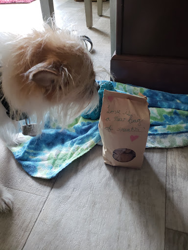 Pet Supply Store «Pet Supplies Plus», reviews and photos, 6159 Kalamazoo Ave SE, Grand Rapids, MI 49508, USA