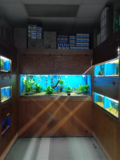 Pet Supply Store «Tropical World Pets», reviews and photos, 8444 Watson Rd, Webster Groves, MO 63119, USA