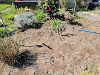 Local Lawns Plus - Local Lawns+ - Photo 3 - Car repair in , Tacoma