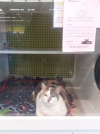 Pet Supply Store «Petco Animal Supplies», reviews and photos, 233 S Stewart Rd, Liberty, MO 64068, USA