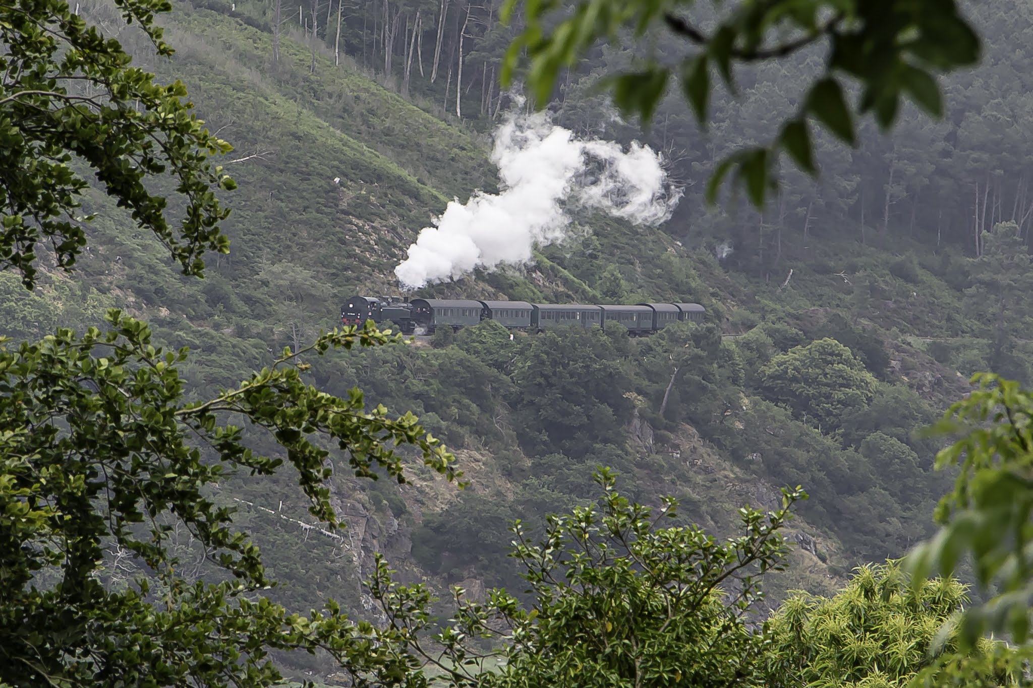 Photo n° 1 de l'avis de Regina.o fait le 02/07/2019 à 09:11