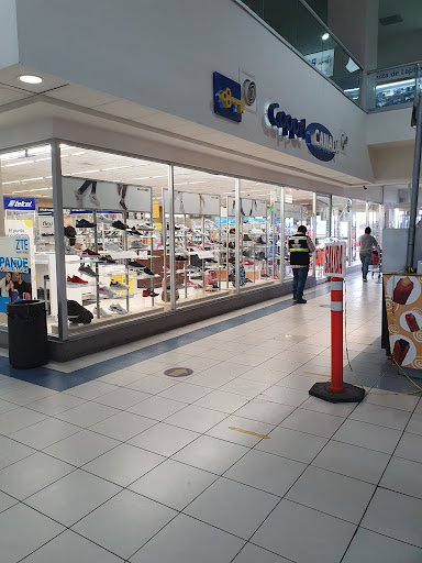 Coppel Tecnológico