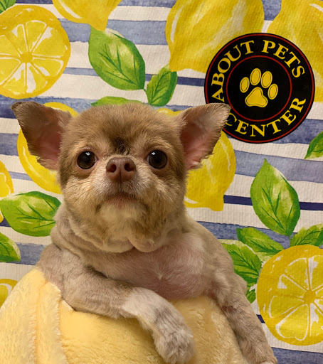 Pet Boarding Service «About Pets Center», reviews and photos, 1604 Conehurst Blvd, Salem, VA 24153, USA