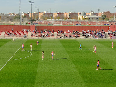 Centro Deportivo Alcalá de Henares (Puerta B) 28806 Alcalá de Henares, Madrid, España