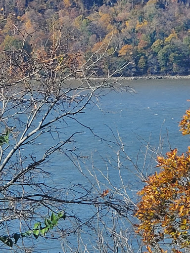 Art Museum «The Cloisters», reviews and photos, 99 Margaret Corbin Dr, New York, NY 10040, USA