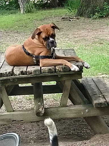 Park «Kingsland Point County Park», reviews and photos, Tarrytown Light-Kingsland Point Path, Sleepy Hollow, NY 10591, USA