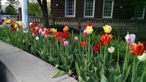 Convention Center «Monona Terrace Community and Convention Center», reviews and photos, 1 John Nolen Dr, Madison, WI 53703, USA