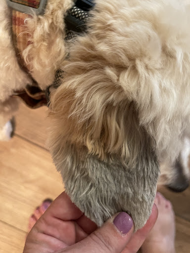 Pet Supply Store «PetSmart», reviews and photos, 8460 Tamarack Village, Woodbury, MN 55125, USA