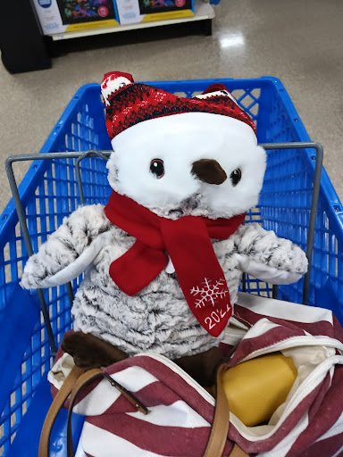 Pet Supply Store «PetSmart», reviews and photos, 150 Glynn Isle, Brunswick, GA 31525, USA