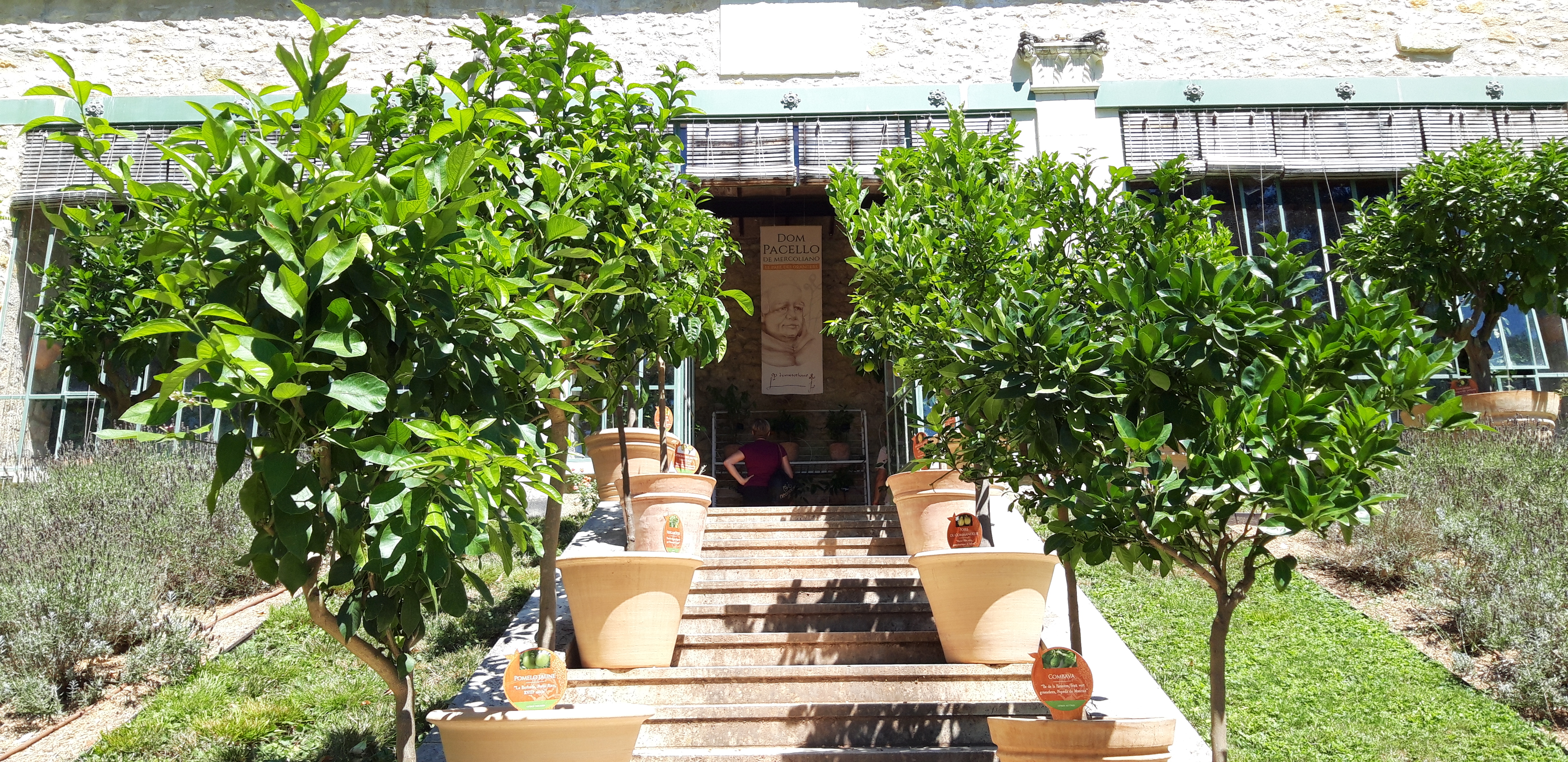 Photo n° 2 de l'avis de Fabienne.A fait le 25/07/2022 à 20:31