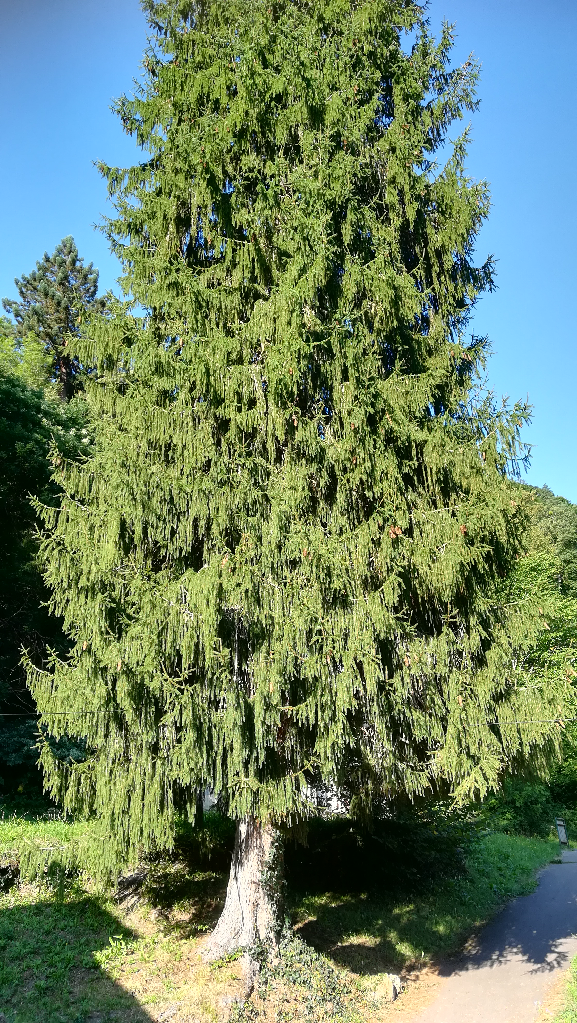 Photo n° 7 de l'avis de NOUNOU.7 fait le 01/09/2019 à 13:27
