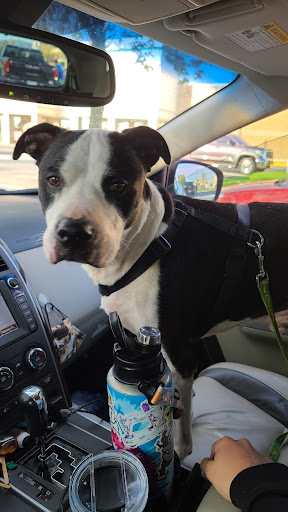 Shopping Mall «Whitehall Crossing Shopping Center», reviews and photos, IN-37, Bloomington, IN 47404, USA