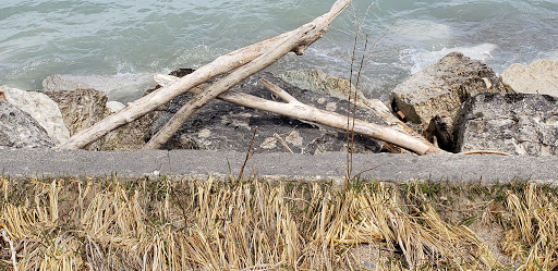 Nature Preserve «Fort Sheridan Forest Preserve», reviews and photos, 117 Sheridan Rd, Lake Forest, IL 60045, USA