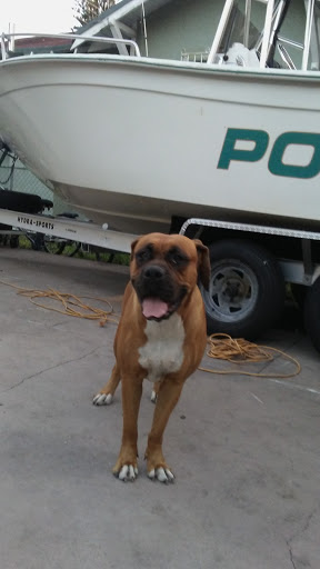 Auto Body Shop «A & A Patterson Body Shop», reviews and photos, 820 SW 8th Ct, Miami, FL 33130, USA