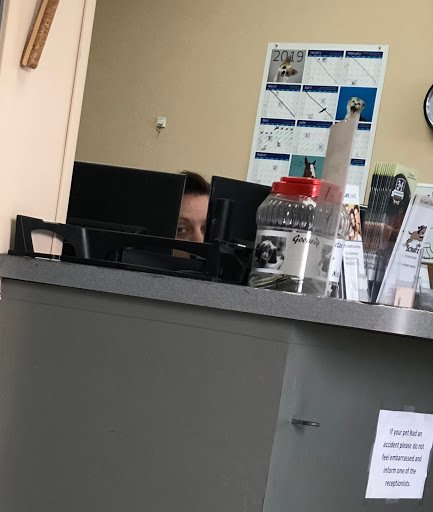 Humane Vet Hospital of San Diego image