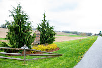 Two Harts Barn LLC - Photo 6 - Car repair in Spring Grove, PA, York