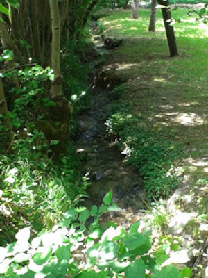 Communauté des Communes Vallée Louron Etablissement Public Intercommunal de la Vallée du Louron à Bordères-Louron