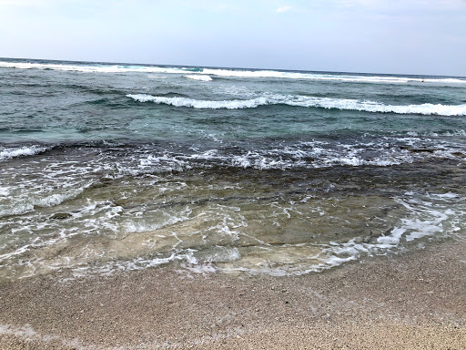 Top 20 quán cafe sân vườn Thành phố Đông Hà Quảng Trị 2022