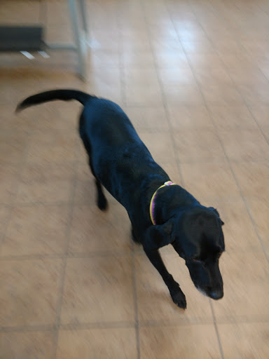 Insulation Contractor «Louisville Spray Foam Insulation», reviews and photos