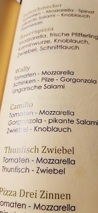 Ariston Bar Pizzeria & Restaurant à Toblach menu