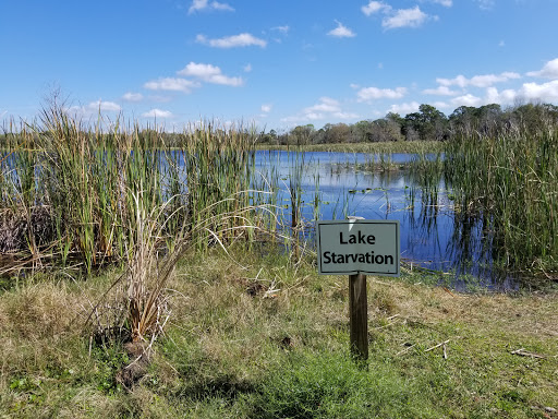 Park «Lake Park», reviews and photos, 17302 N Dale Mabry Hwy, Lutz, FL 33548, USA