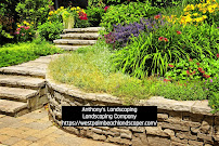 Anthony's Landscaping - Photo 3 - Car repair in , West Palm Beach