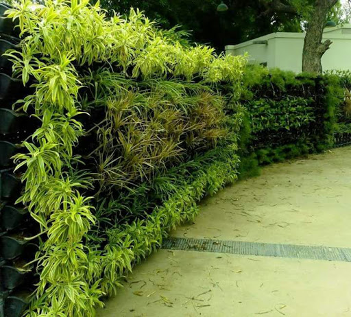 Vertical Garden Green wall Company Delhi,Bio Wall Bio Vertical Garden India