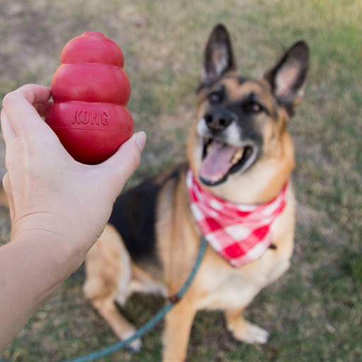 Pet Supply Store «PBS Animal Health», reviews and photos, 2780 Richville Dr SE, Massillon, OH 44646, USA