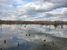 Clear Creek Natural Heritage Center