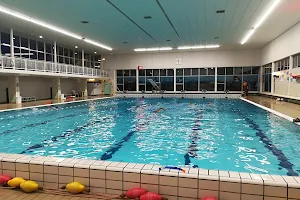 Onderwatersport Vereniging Haarlem - OVH image