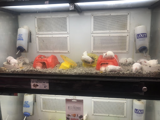 Pet Supply Store «Petco Animal Supplies», reviews and photos, 181 North 545 West, West Bountiful, UT 84087, USA