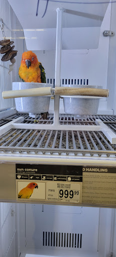 Pet Supply Store «Petco Animal Supplies», reviews and photos, 1610 Avenue Y, Brooklyn, NY 11235, USA