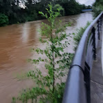 Photo n°7 de l'avis de Patrick.e fait le 12/07/2021 à 10:58 sur le  Big Pizza à Fürth